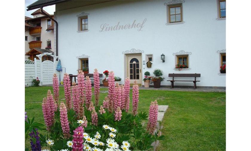 מלון סן לורנצו די סבטו Lindnerhof Urlaub Am Bauernhof מראה חיצוני תמונה